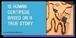 Unveiling the Truth Behind the Insidious Real Story