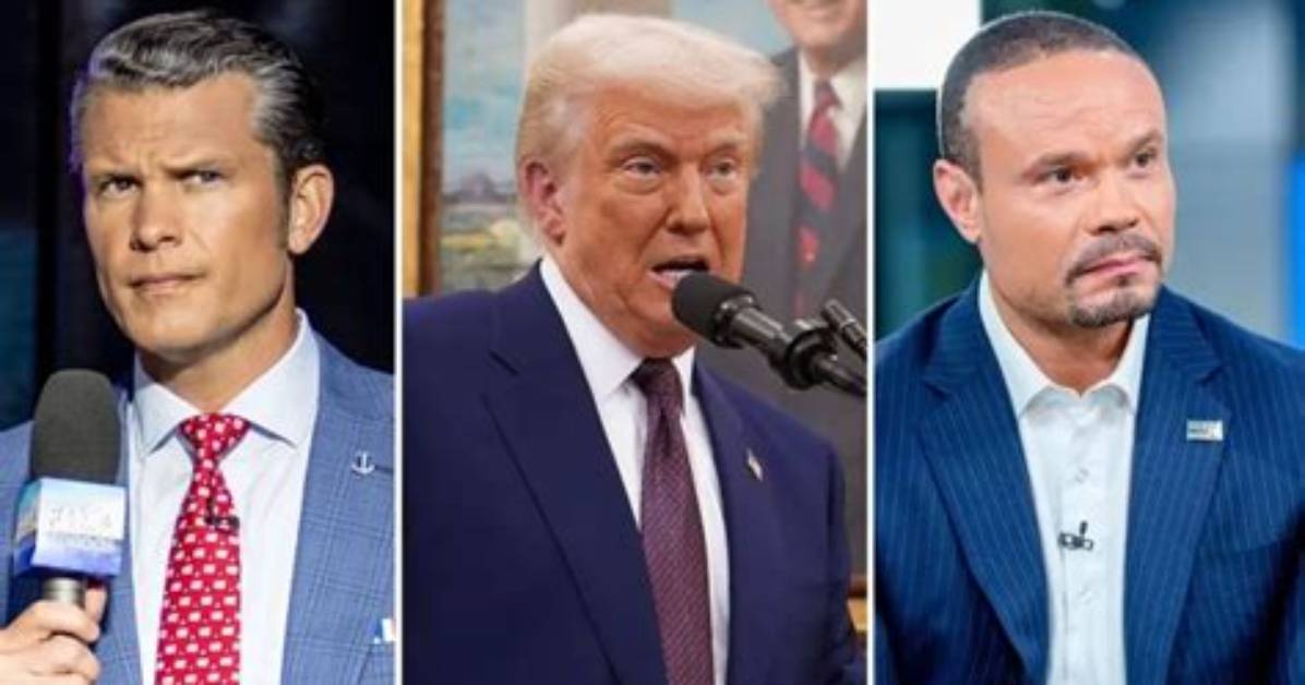 Unveiling the World of Fox Contributors Male