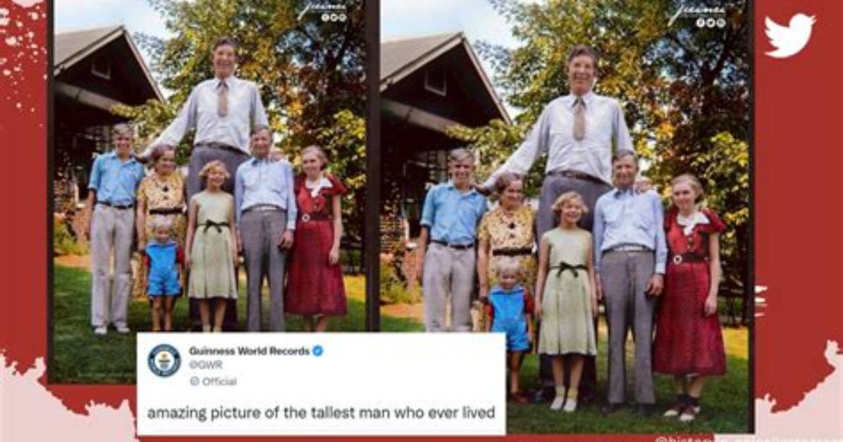 Unveiling the World's Tallest Couple and Their Extraordinary Journey
