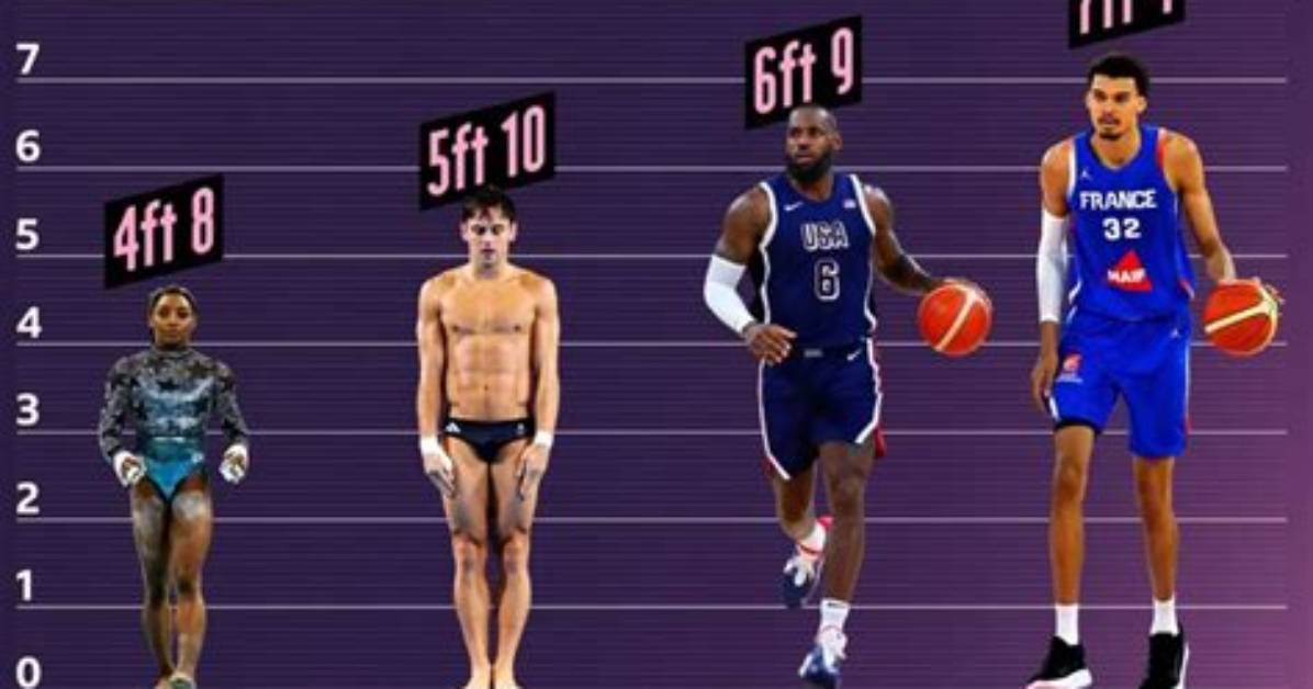 Victor Wembanyama: Towering Measurements of a Basketball Phenom