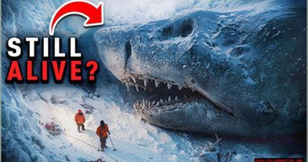 Was a Frozen Megalodon Unearthed by Nasa?