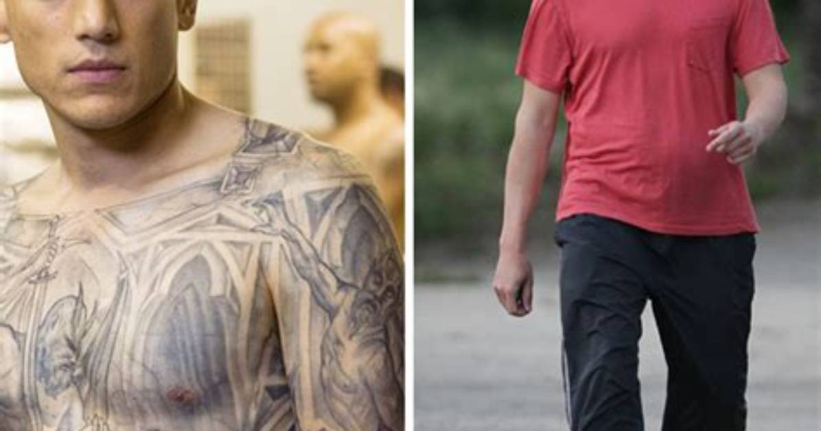 Wentworth Miller's Son: Uncovering the Hidden Truth