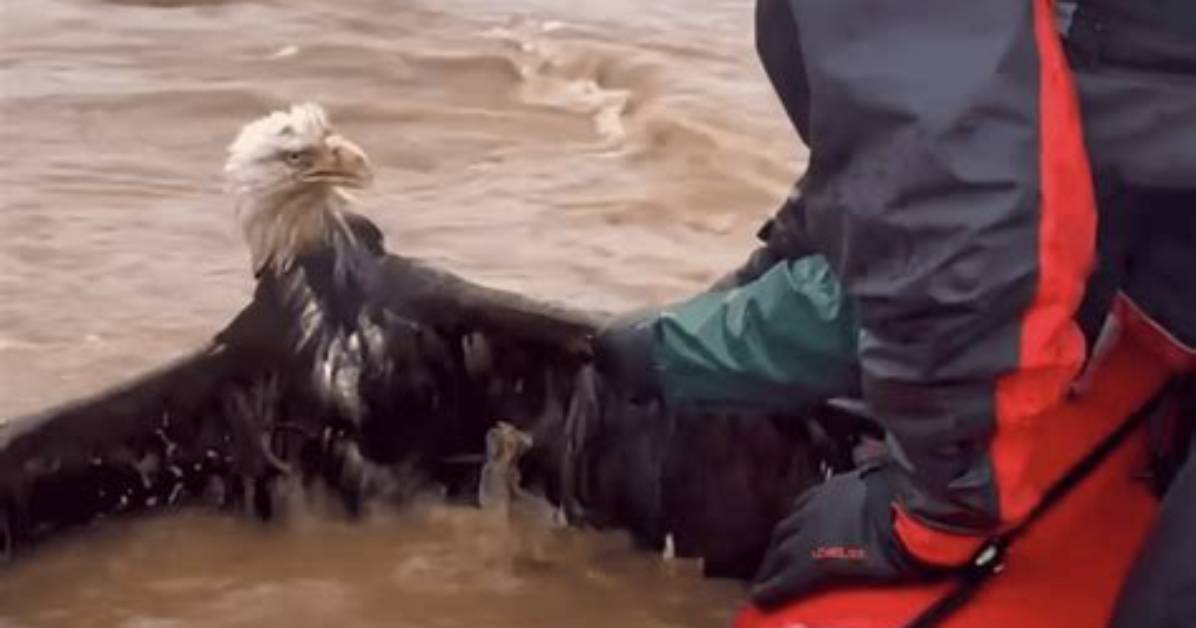 When Did the Missing Man Save Eagle Lake?