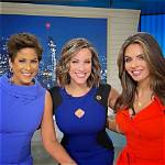Where Is Brandi Hitt Going? Abc 7 Reporter Quits the Show