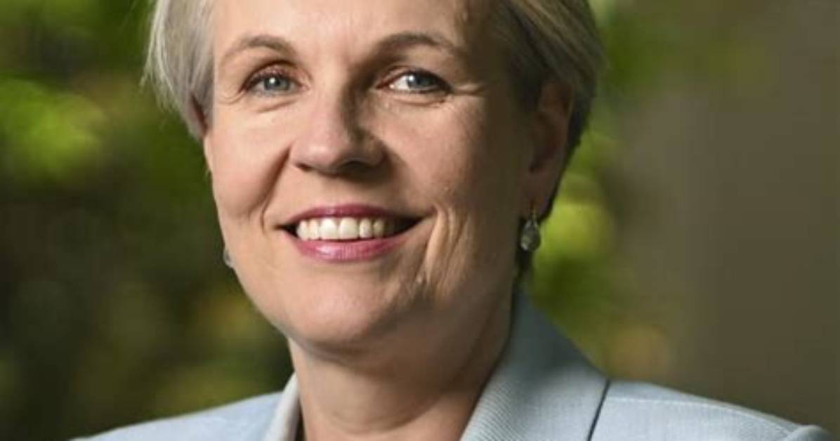 Where Is Tanya Plibersek Now? What Is She Doing
