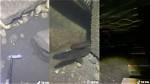 Who Is Eel Pit Tiktok? American Eel Viral Video Explained