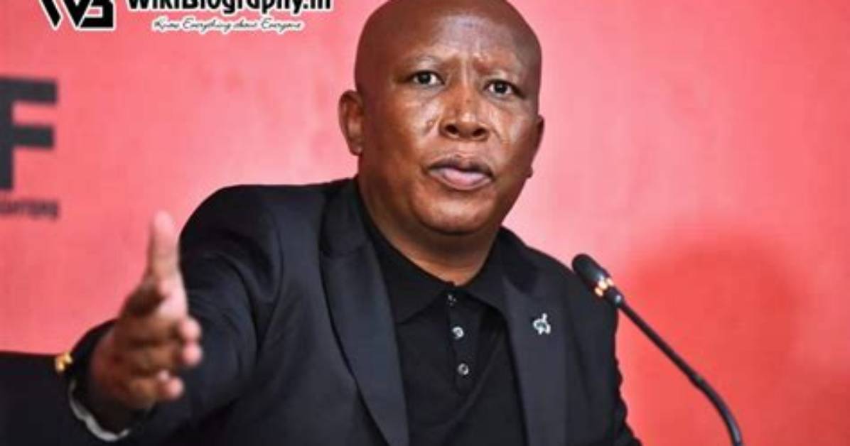 Who Is Julius Malema? Politician Wiki, Bio and Net Worth Details