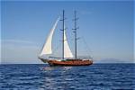 Who Sails the Seas Aboard Stella Maris?