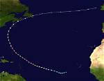 Wikipedia Unveils Her Path of Impact
