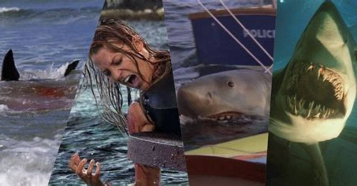 Witness the Horror: Shark Assault on Hilton Head's Shores