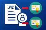 Yes! Pfx and P12 - Same Certificate, Different Extensions