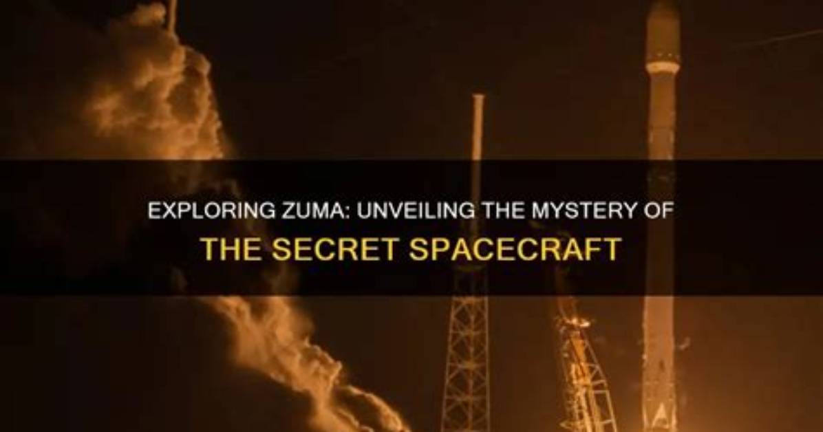 Zuma's Financial Landscape: Exploring Zuma Net Worth 2024
